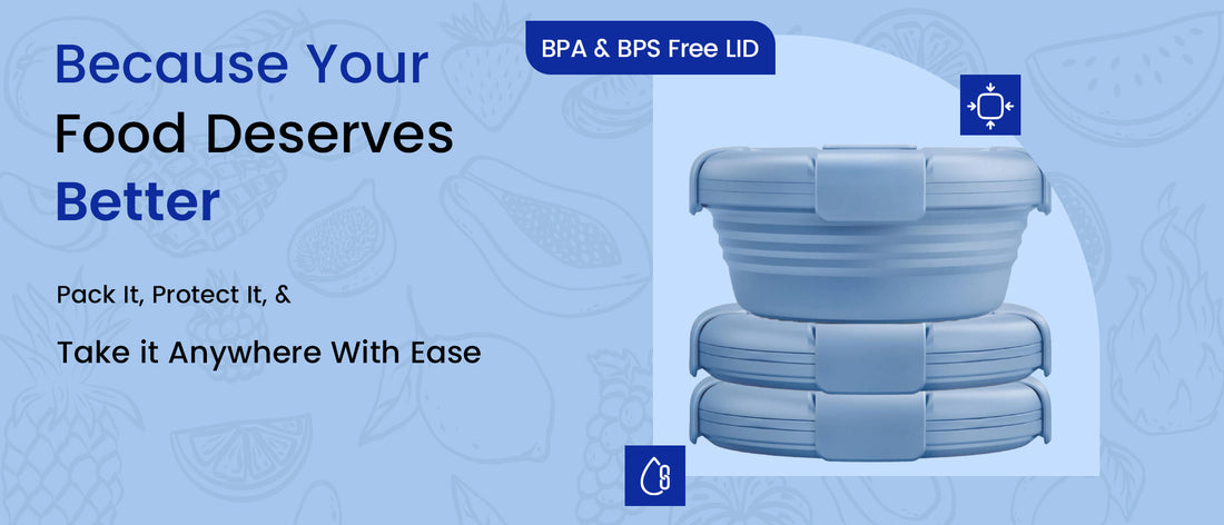 Best Collapsible Silicone Lunch Box